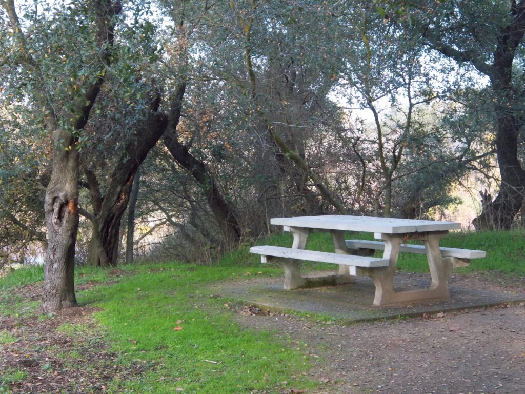 A picnic at the American River offers scenic beauty, with picturesque views of the river and surrounding nature. 