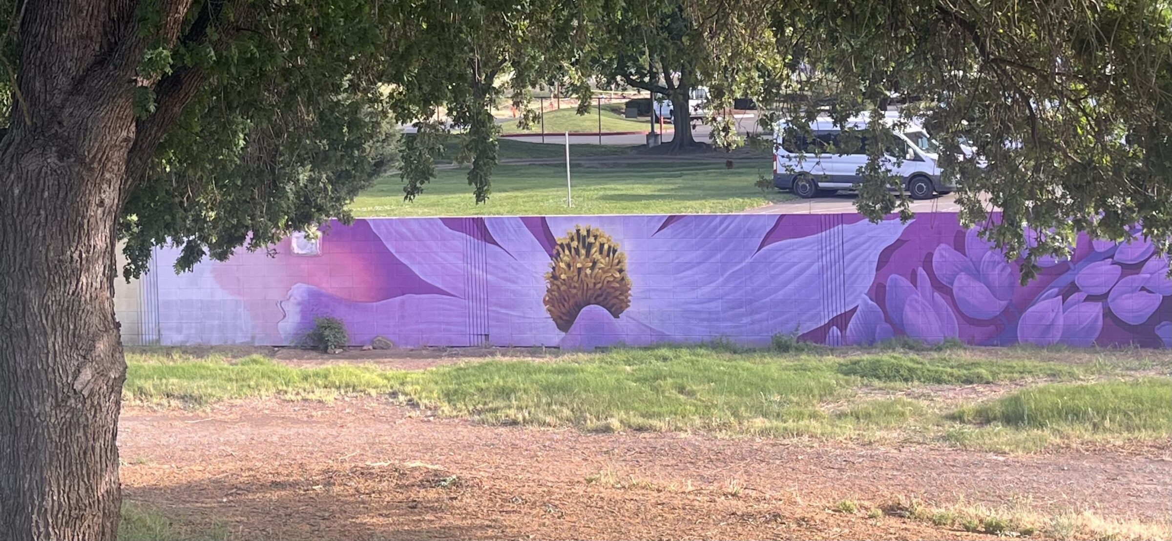 Major Public Art Installation Launches Along Two Rivers Bike Trail