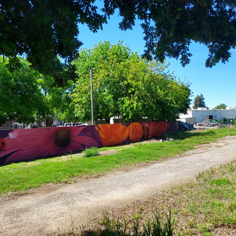 Artists working on a mural in Sacramento's River District. The mural is on a long wall and is a colorful depiction of wildflowers.